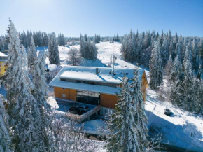 Wiesenquell Apartment Feldberg
